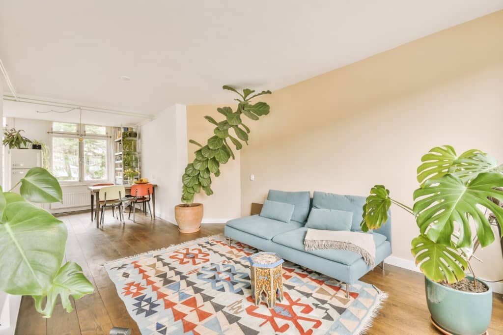 Salón de una vivienda.